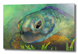 Turquoise Amber Sea Turtle_Craftiespot