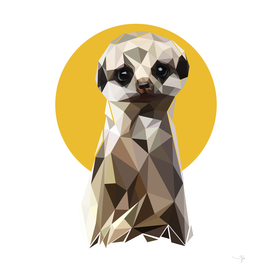 meerkat pop art