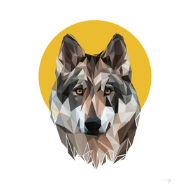 wolf pop art illustrtion