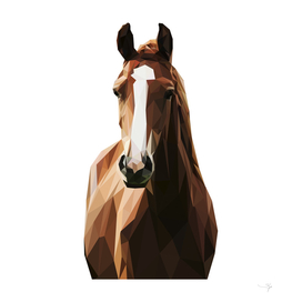 horse pop art illustration