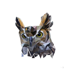 owl  pop art