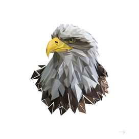 eagle nursery pop art poster