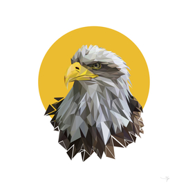Eagle pop art illustration