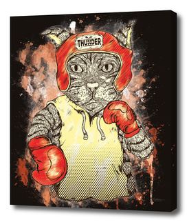 Cat Boxing