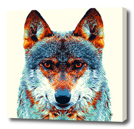 Wolf - Colorful Animals