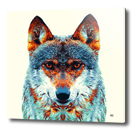 Wolf - Colorful Animals