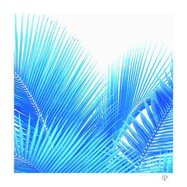 Winter Palm