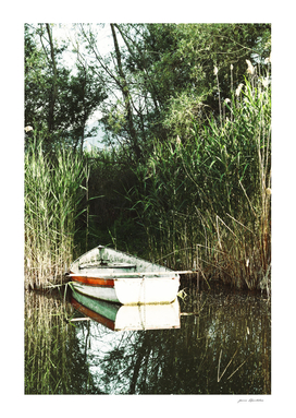 Beautiful white fishing boat on a calm green forest pond.
