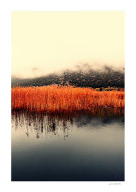Misty winter lake landscape reeds reflections