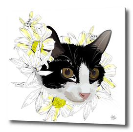Beautiful cat with flowers
