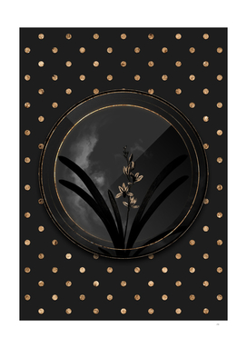Shadowy Black Boat Orchid Gold Art Deco