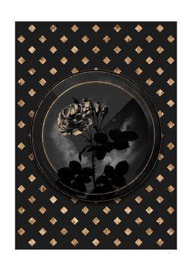 Shadowy Black Damask Rose Gold Art Deco