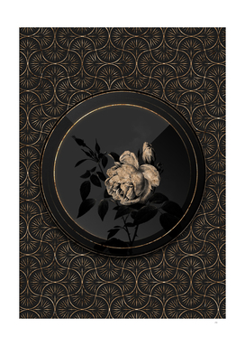 Shadowy Black Fragrant Rosebush Gold Art Deco