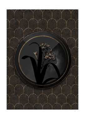 Shadowy Black Iris Fimbriata Gold Art Deco