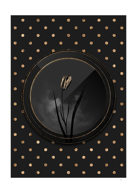 Shadowy Black Lady Tulip Gold Art Deco