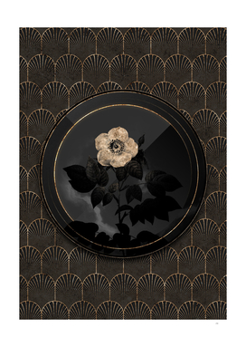 Shadowy Black Leschenault's Rose Gold Art Deco