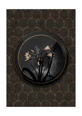 Shadowy Black Malgas Lily Gold Art Deco