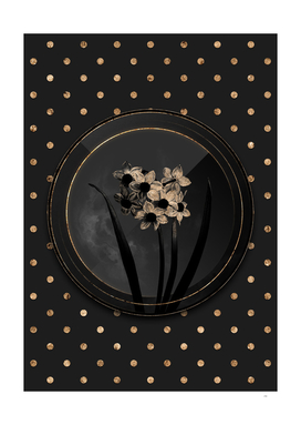 Shadowy Black Narcissus Easter Flower Gold Art Deco