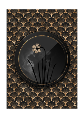 Shadowy Black Narcissus Poeticus Gold Art Deco