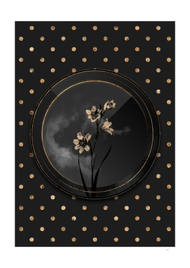 Shadowy Black Painted Lady Gold Art Deco