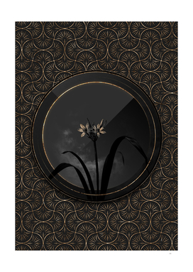 Shadowy Black Small Flower Pancratium Gold Art Deco
