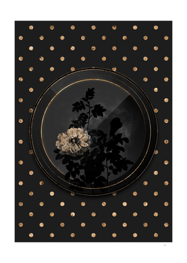 Shadowy Black Ventenat's Rose Gold Art Deco