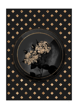 Shadowy Black White Damask Rose Gold Art Deco