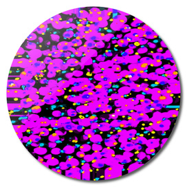 Violet particles