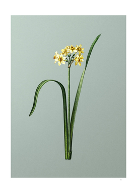 Vintage Cowslip Cupped Daffodil on Mint Green