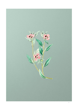 Vintage Long Branched Enothera on Mint Green