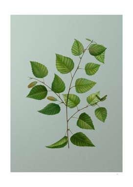 Vintage Paper Birch Botanical on Mint Green