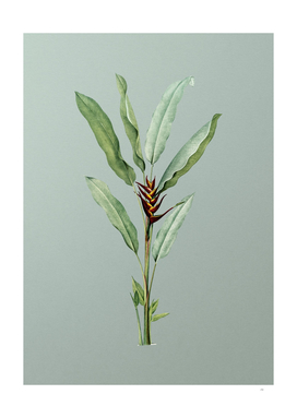 Vintage Parrot Heliconia Botanical on Mint Green