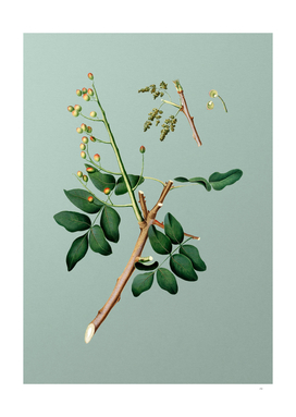Vintage Pistachio Botanical on Mint Green
