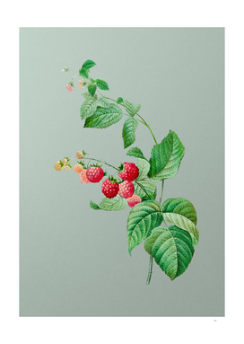 Vintage Red Berries Botanical on Mint Green