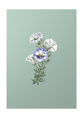 Vintage Sky Blue Alona Flower Botanical on Mint Green