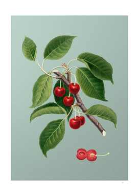 Vintage Sour Cherry Botanical on Mint Green