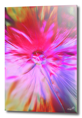 Flower From The XII Dimension