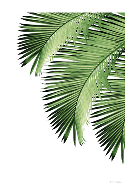 Palm Leaves Bliss #1 #tropical #wall #art