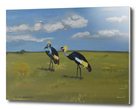 Royal Cranes