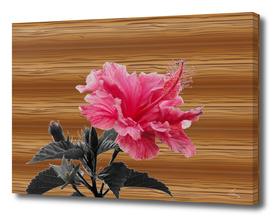 hibiscus on the wood