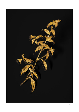 Gold Birdbill Dayflower Botanical on Black