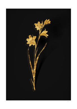 Gold Painted Lady Botanical Illustration on Black