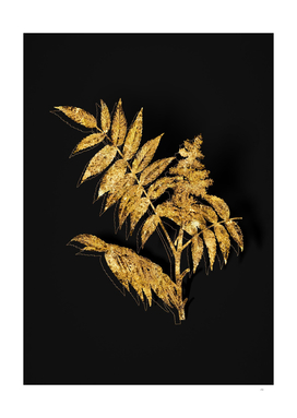 Gold Staghorn Sumac Botanical on Black