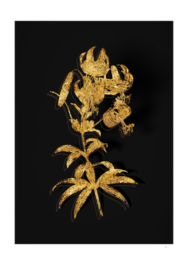 Gold Turban Lily Botanical Illustration on Black