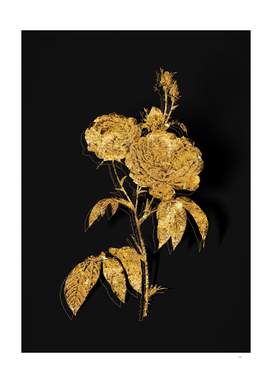 Gold Purple Roses Botanical Illustration on Black