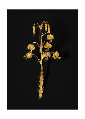 Gold Lilium Pyrenaicum Botanical on Black