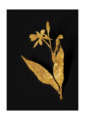 Gold Bandana of the Everglades Botanical on Black