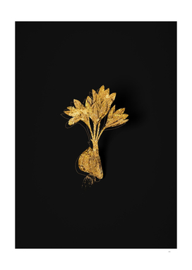 Gold Autumn Crocus Botanical Illustration on Black