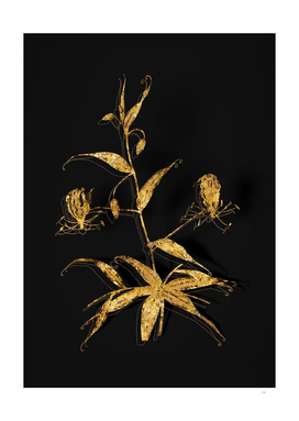 Gold Flame Lily Botanical Illustration on Black