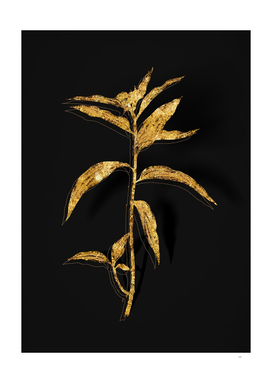 Gold Dayflower Botanical Illustration on Black